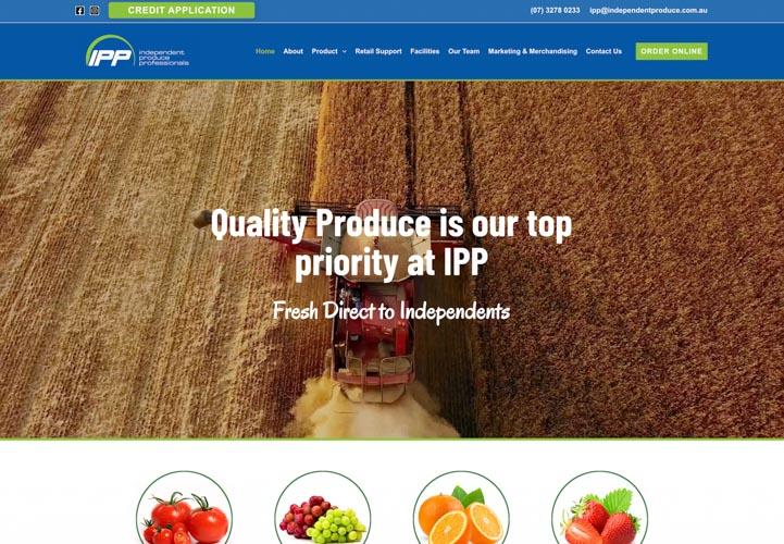 IPP website design service